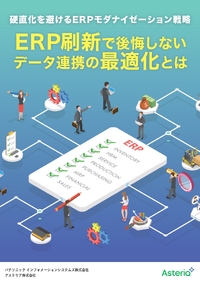 硬直化を避けるERPモダナイゼーション戦略、ERP刷新で後悔しないデータ連携の最適化とは
