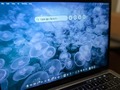 もはやただの検索ツールではない--「macOS」の「Spotlight」活用術6選