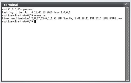 管理画面でCtrl+Shift+Tキーを同時に押すとターミナルウィンドウが表示される。管理用仮想マシンではLinuxベースのOSが動作していることが分かる