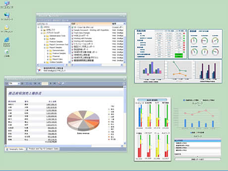 BusinessObjects XI 3.0