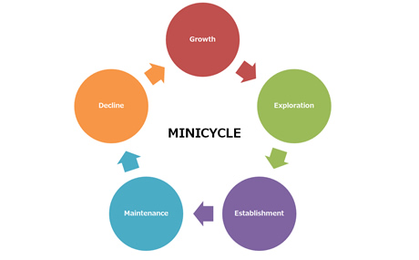 移行期にも「MINICYCLE（5つの段階）」が発生し、これが繰り返される