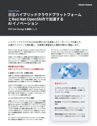 AI×ハイブリッドクラウド活用の「最適解」とは?ビジネス成果につながるインフラ実装と事例